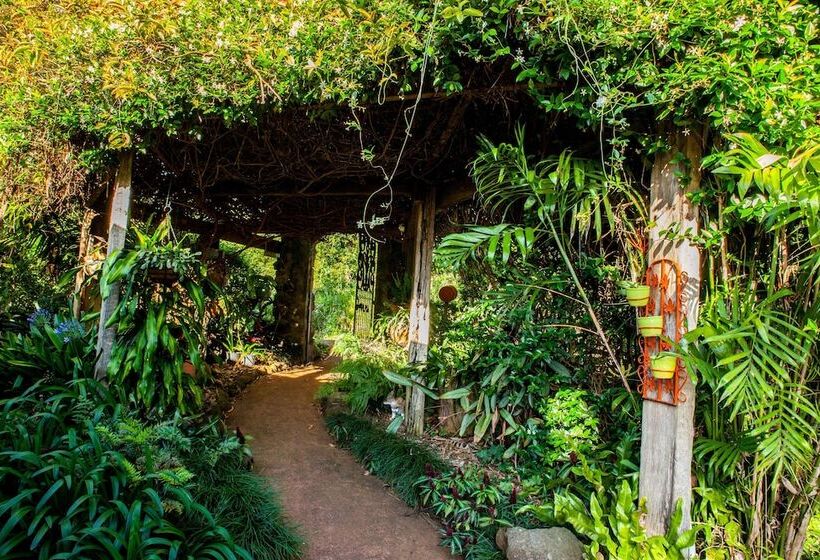 ホテル Tamborine Mountain Bed And Breakfast