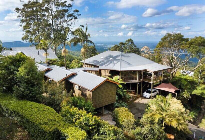 ホテル Tamborine Mountain Bed And Breakfast