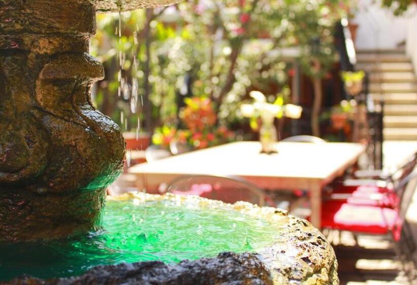 Las Mariposas Hotel & Studios