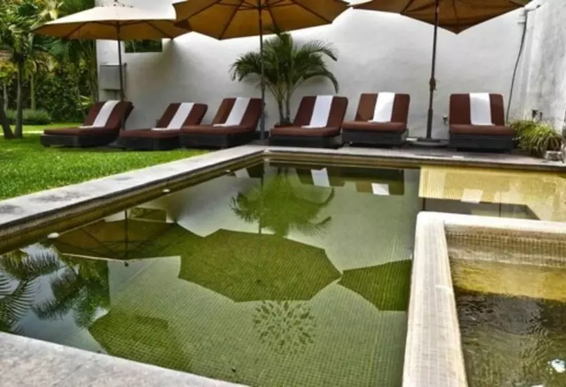 Mocca Hotels