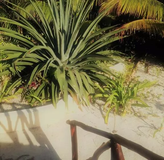 リゾートホテル Balamku Inn On The Beach