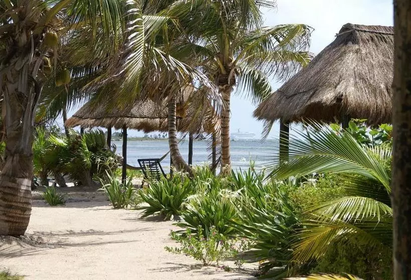 リゾートホテル Balamku Inn On The Beach