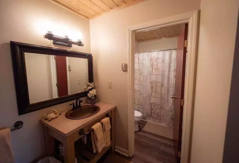 Motelli The Snowshoe Lodge