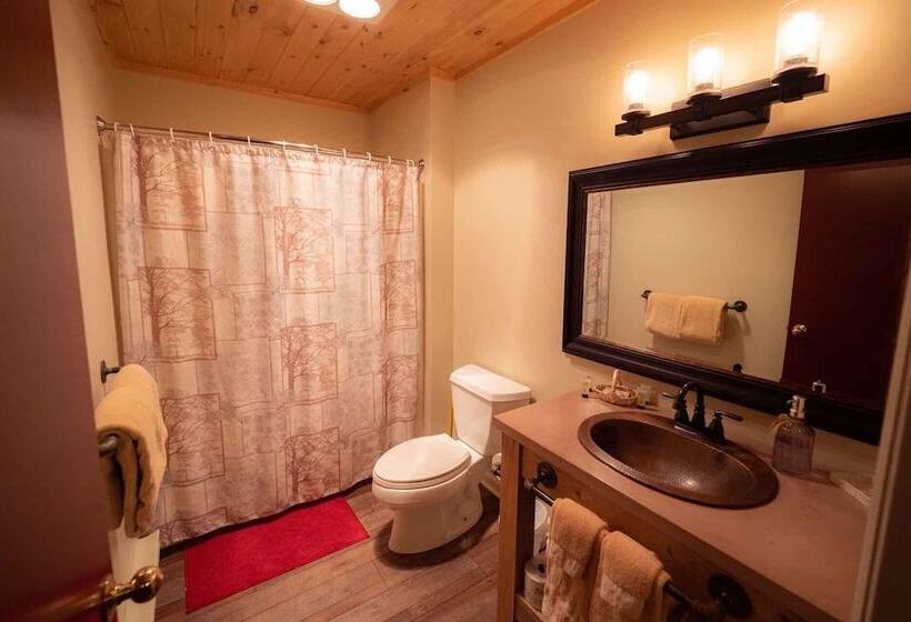 汽车旅馆 The Snowshoe Lodge