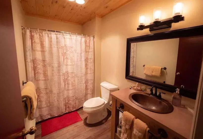 Motelli The Snowshoe Lodge