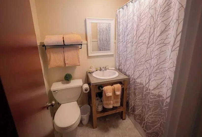 Motelli The Snowshoe Lodge