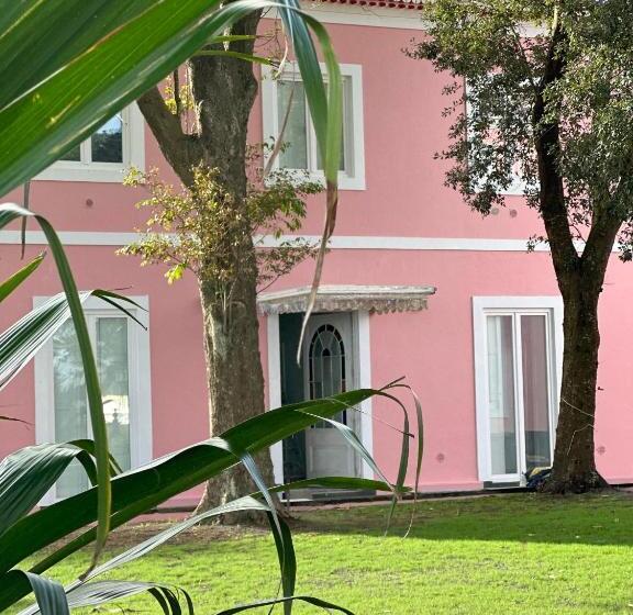 تختخواب و صبحانه Solar Dos Cantos Botanic House & Garden