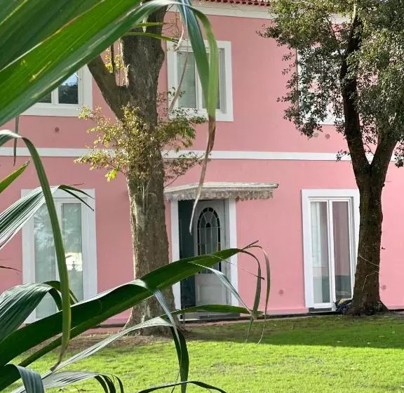 تختخواب و صبحانه Solar Dos Cantos Botanic House & Garden