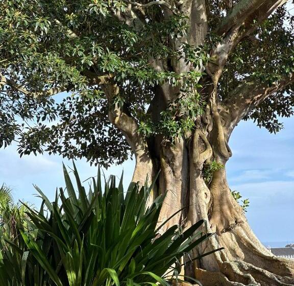 تختخواب و صبحانه Solar Dos Cantos Botanic House & Garden