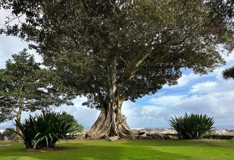 تختخواب و صبحانه Solar Dos Cantos Botanic House & Garden