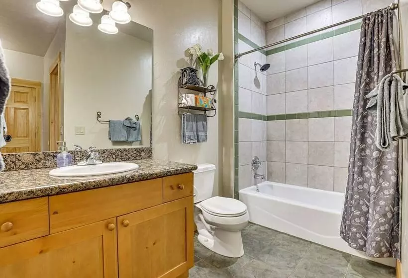 Serene Home W/ Private Hot Tub In Silverthorne