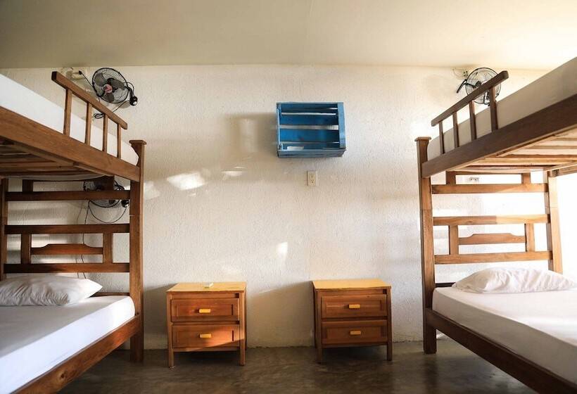 Playa Del Ritmo Beach Hostel & Bar