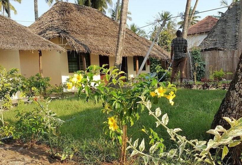 Bed and Breakfast Family Beach Bungalows