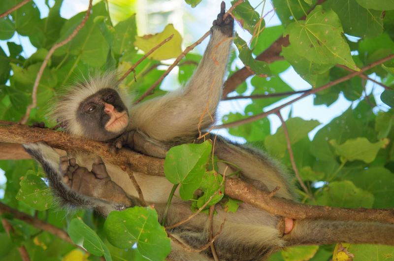 Bed & Breakfast Kimte Beach Lodge