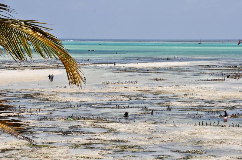 Bed & Breakfast Kimte Beach Lodge