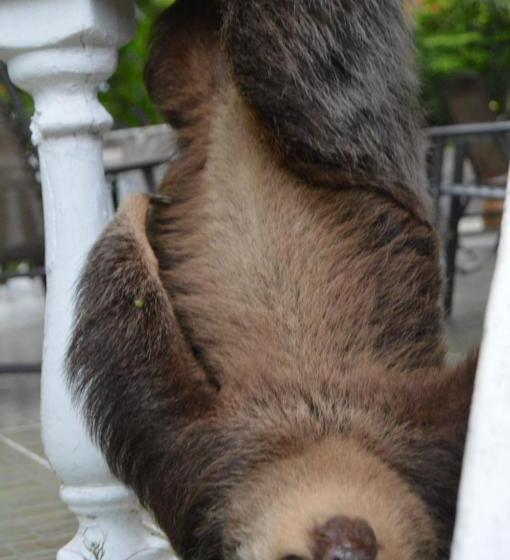 Hibiscus House Bed And Breakfast