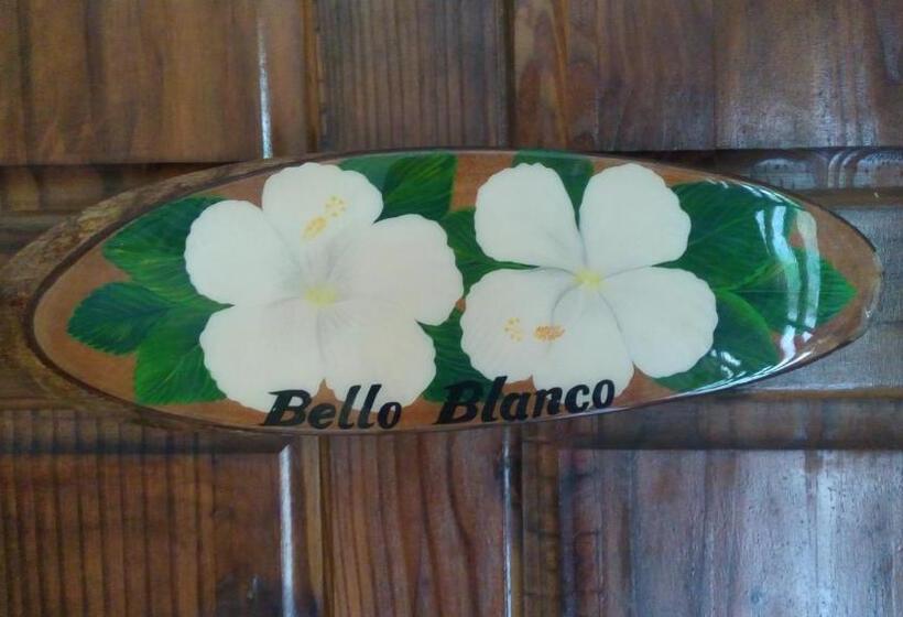 Hibiscus House Bed And Breakfast