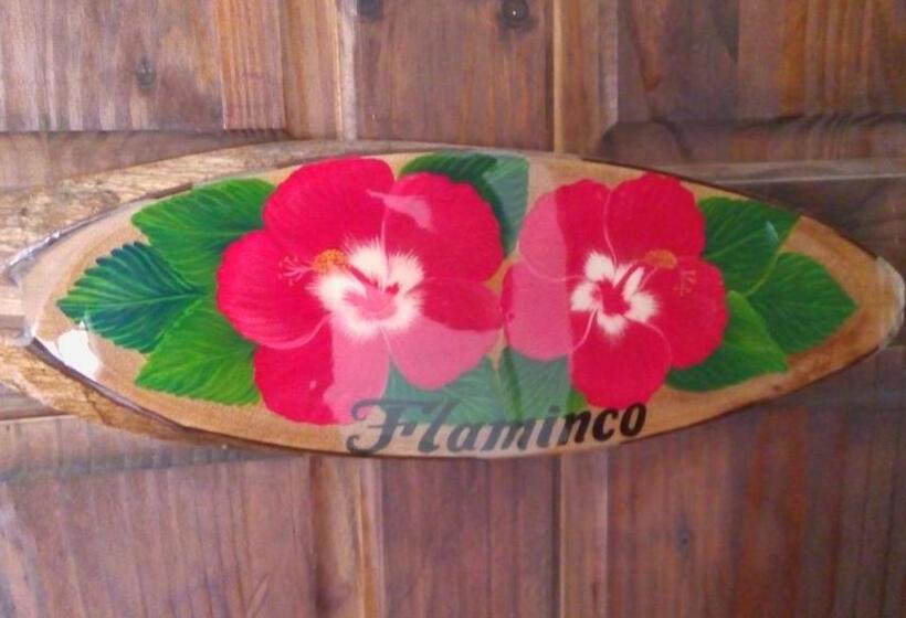 Hibiscus House Bed And Breakfast