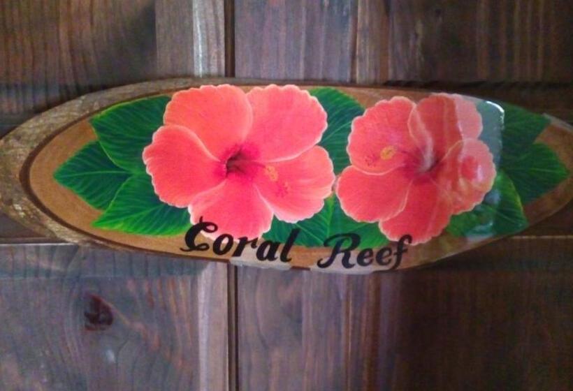 Hibiscus House Bed And Breakfast