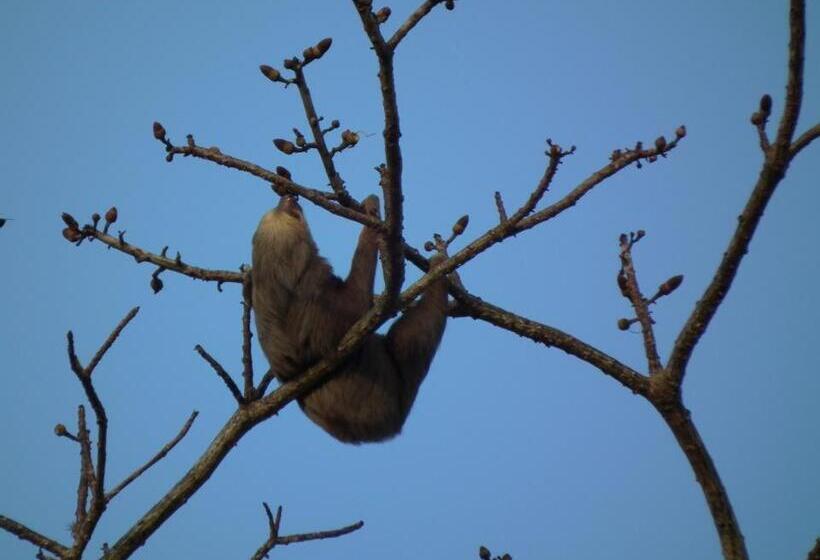 Hibiscus House Bed And Breakfast