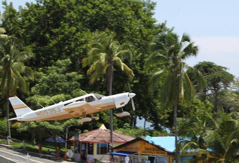 Hibiscus House Bed And Breakfast