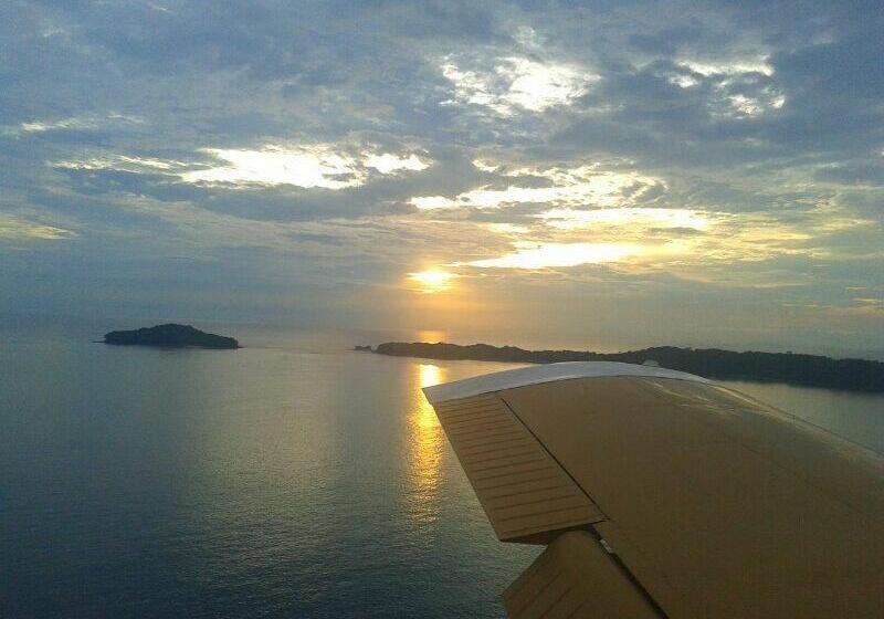 Hibiscus House Bed And Breakfast