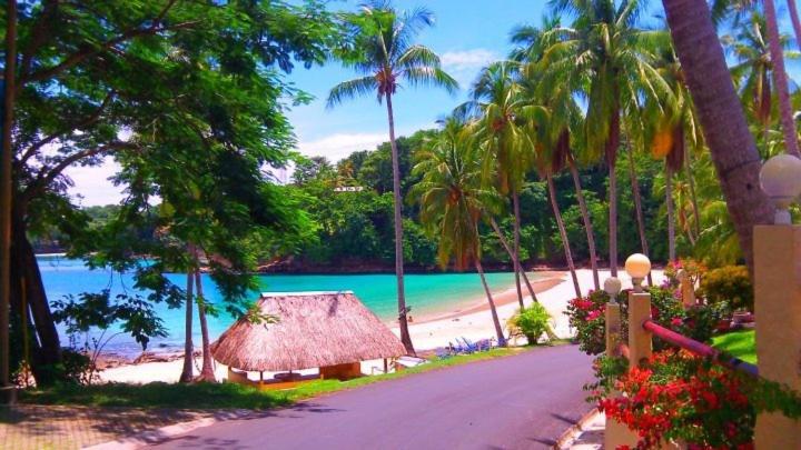 Hibiscus House Bed And Breakfast