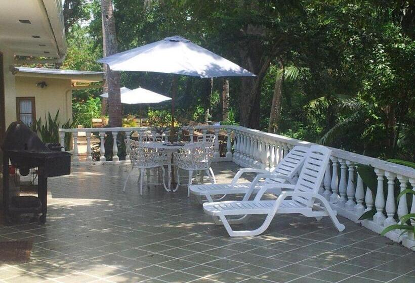 Hibiscus House Bed And Breakfast