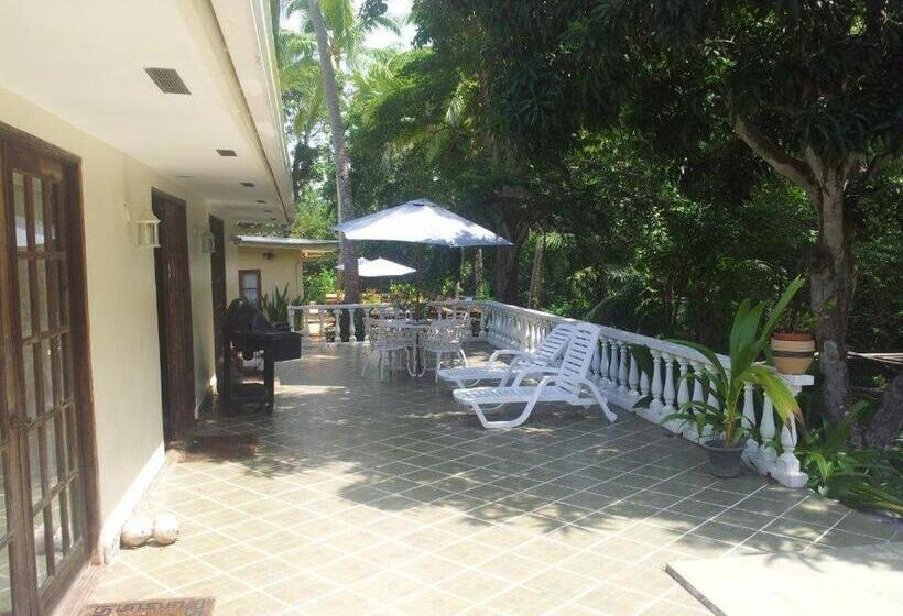 Hibiscus House Bed And Breakfast