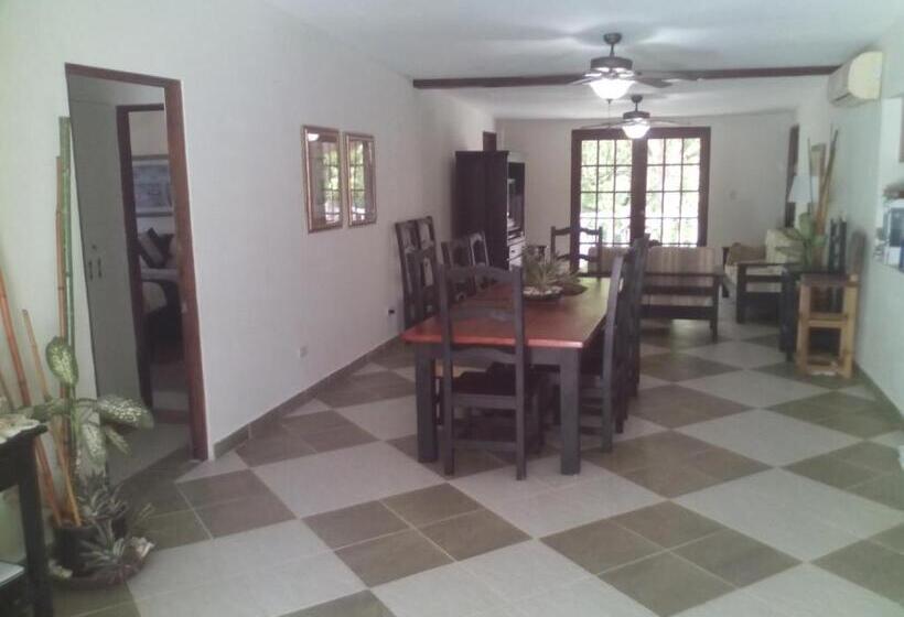 Hibiscus House Bed And Breakfast