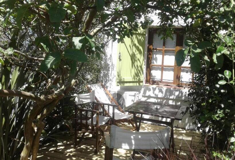 호텔 Complejo Oceanico