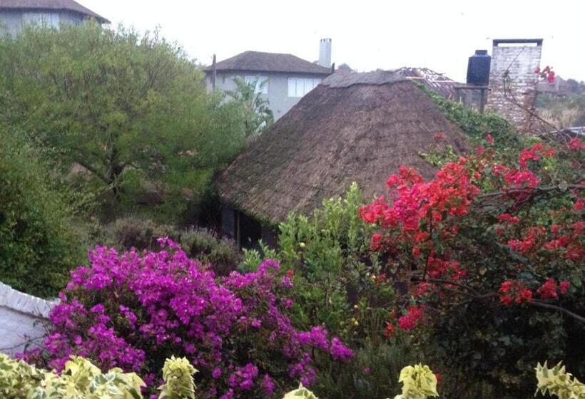 호텔 Complejo Oceanico