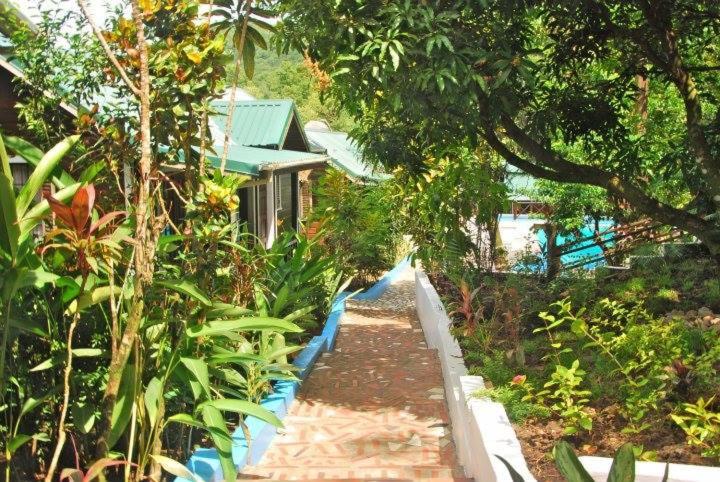 هتل Jj S Paradise Resort