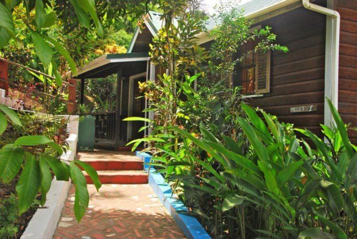 هتل Jj S Paradise Resort