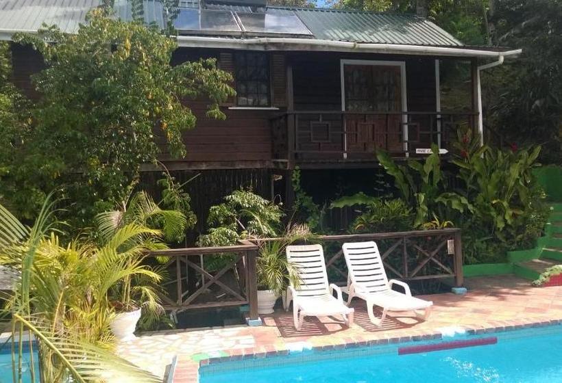 هتل Jj S Paradise Resort