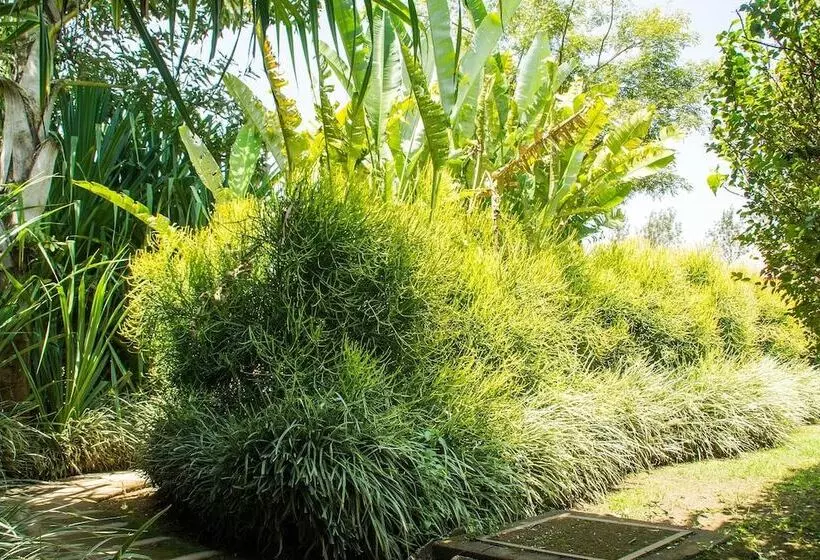 هتل Kabalega Resort   Masindi