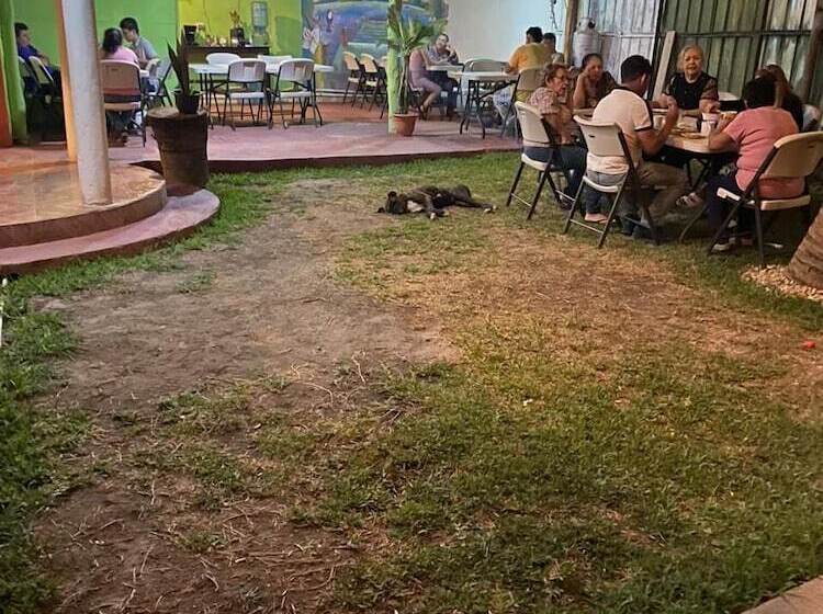 هتل Posada Gutierrez