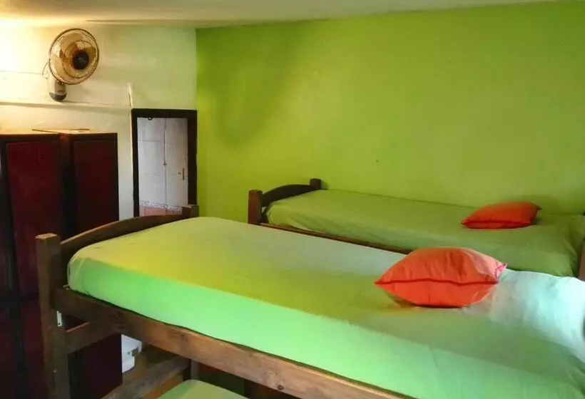 Planet Punta Del Este Hostel
