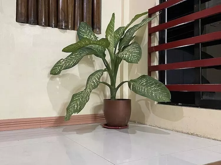 Bahay Ni Ate Bed And Breakfast