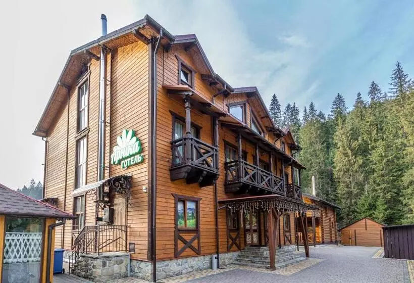 Hotel Arnika