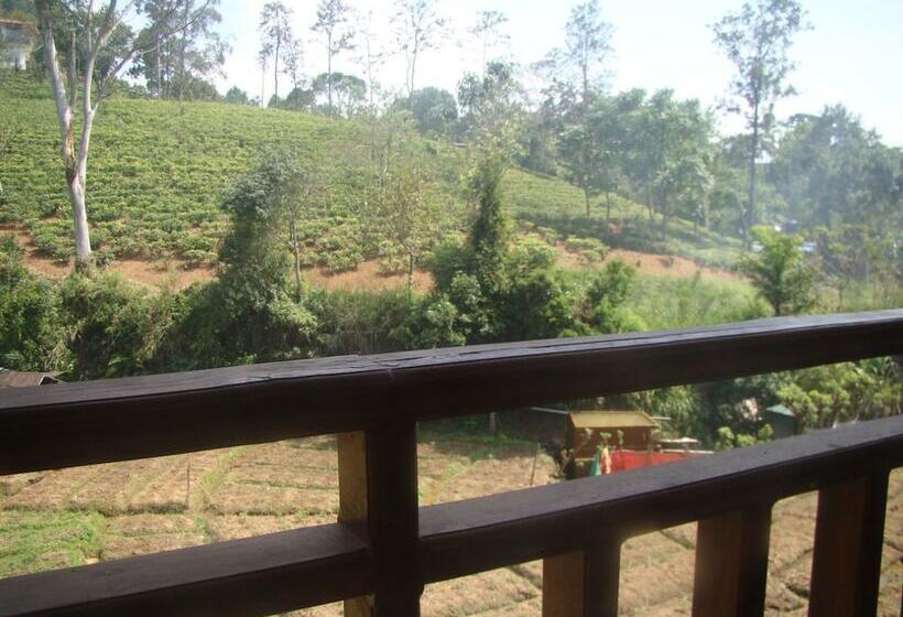 فندق Citygrandella