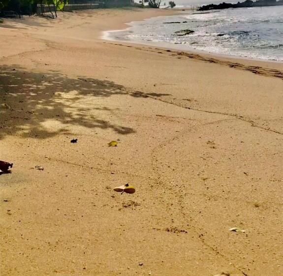 Отель Sea View Villa