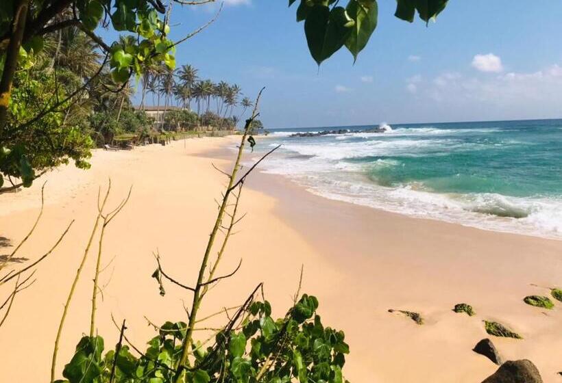 Отель Sea View Villa