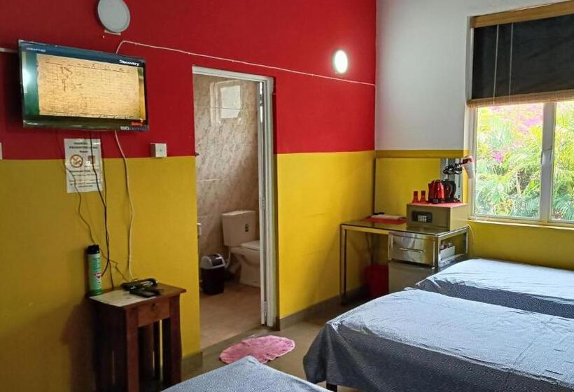 مبيت وإفطار Palms Villa