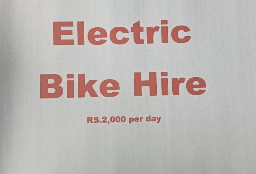 مبيت وإفطار Palms Villa