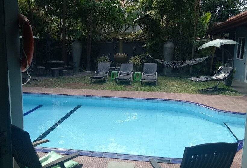 مبيت وإفطار Palms Villa