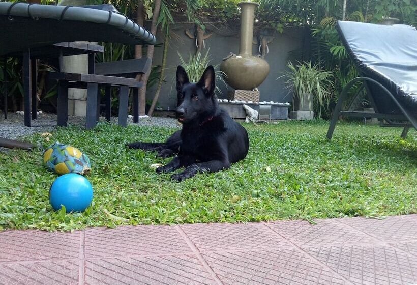 مبيت وإفطار Palms Villa