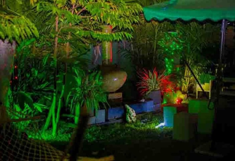 مبيت وإفطار Palms Villa