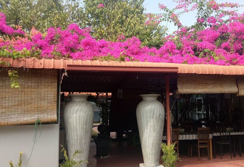 مبيت وإفطار Palms Villa