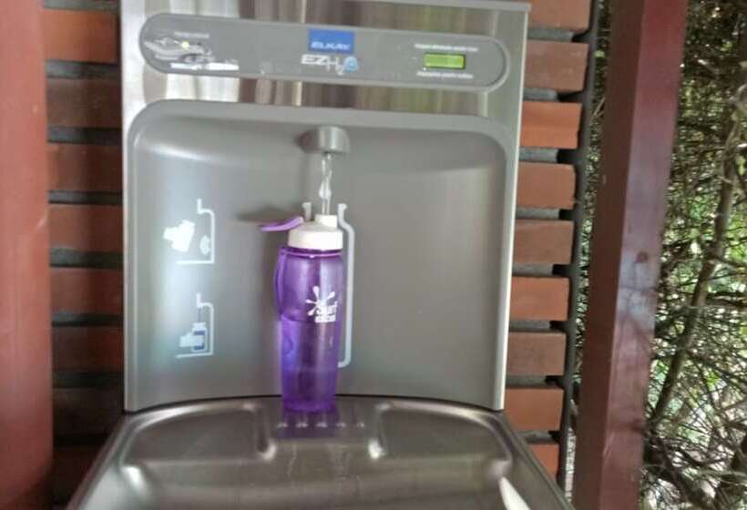 مبيت وإفطار Palms Villa